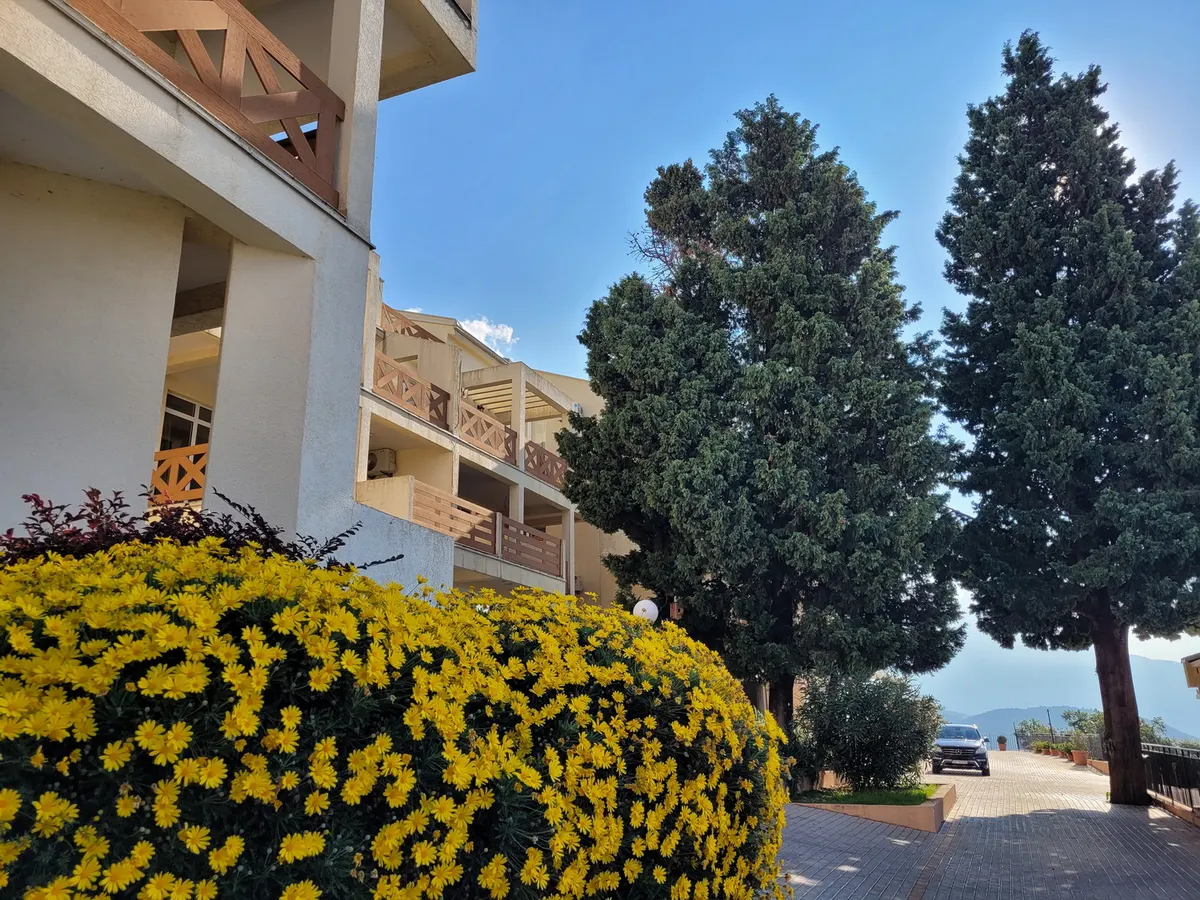 Garden and apartment buildings in summer